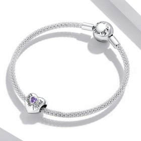 Pandora Style Friendship Jewellery - BSC562-VT