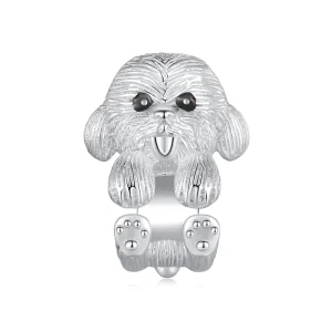(image for) adorable teddy charm in a Pandora style - SCC2586