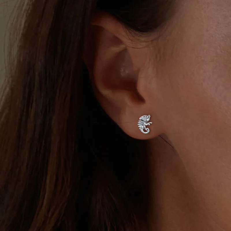 (image for) Pandora Style Chameleon Studs Earrings - SCE1661 - View 5