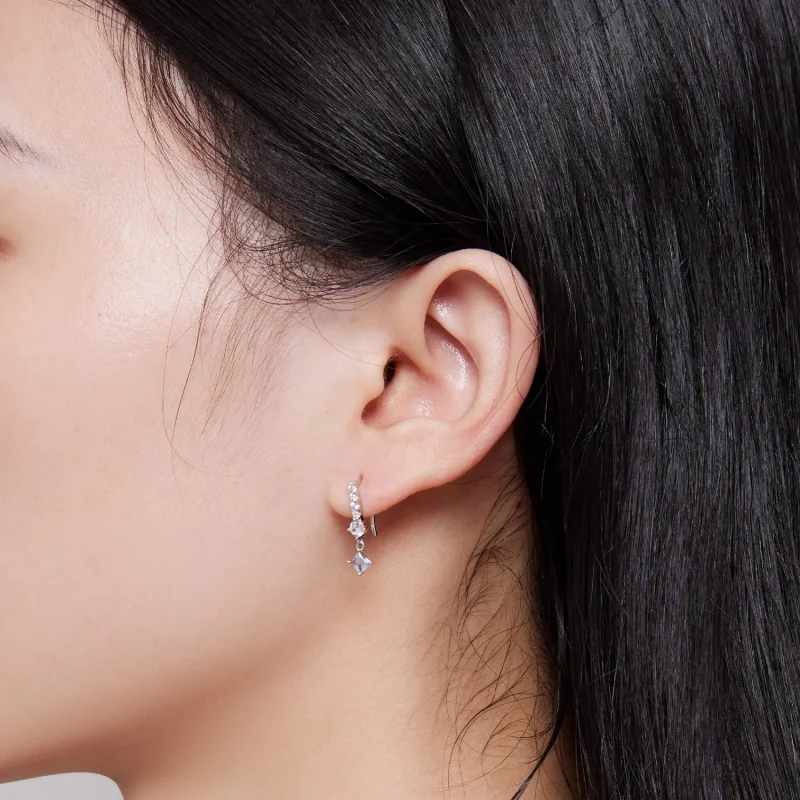 (image for) Pandora Style Exquisite Stone-Set Dangle Earrings - SCE1586 - View 7