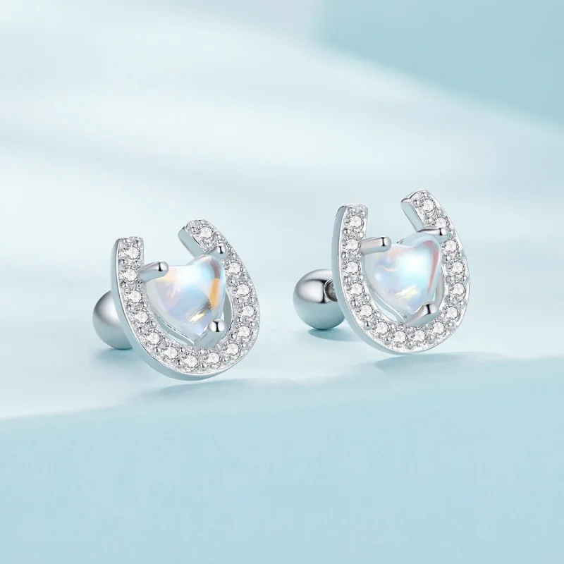 (image for) Pandora-style Horseshoe Round Ear Plugs Studs Earrings - SCE1612 - View 2