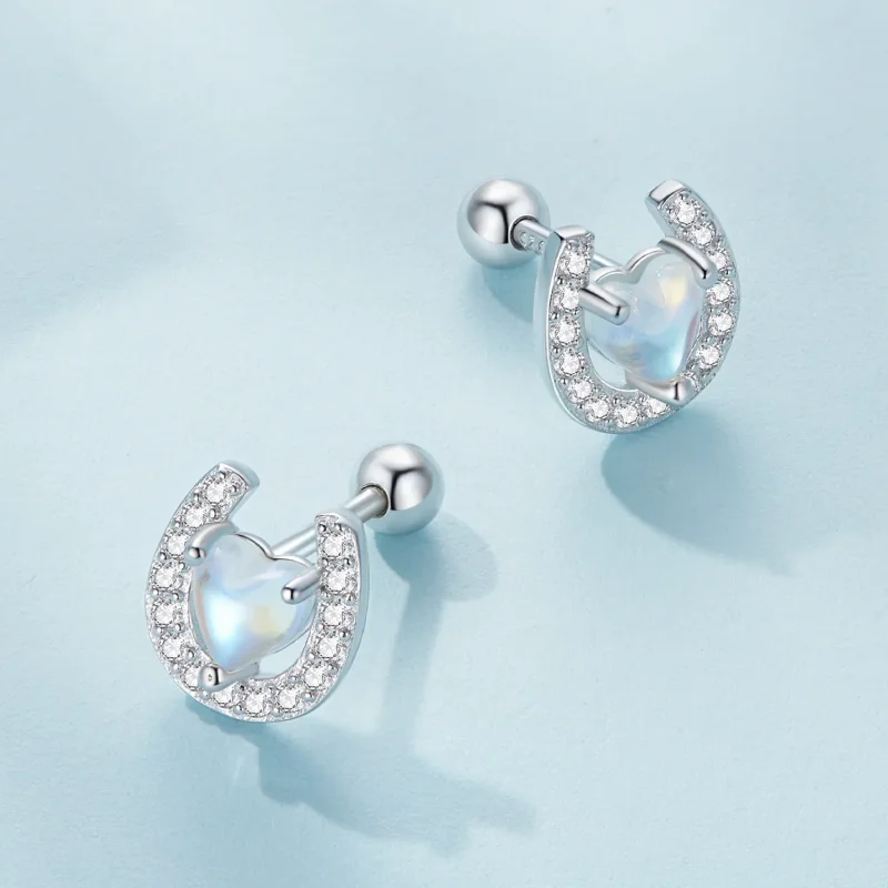 (image for) Pandora-style Horseshoe Round Ear Plugs Studs Earrings - SCE1612 - View 3