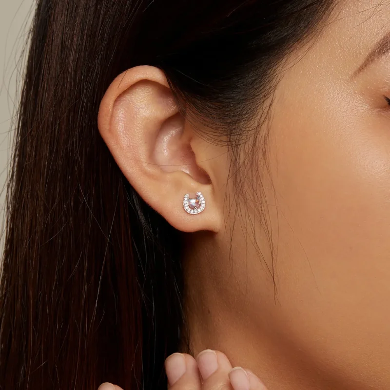 (image for) Pandora-style Horseshoe Round Ear Plugs Studs Earrings - SCE1612 - View 6