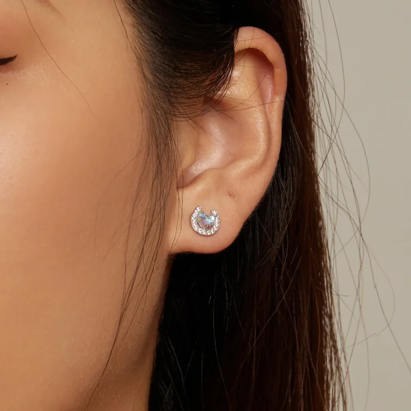 (image for) Pandora-style Horseshoe Round Ear Plugs Studs Earrings - SCE1612 - View 7