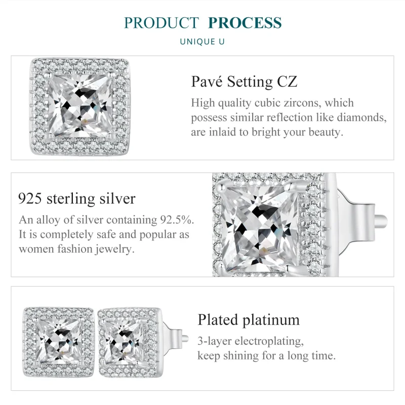 (image for) Pandora Style Light Luxury Stud Earrings - BSE895 - View 6