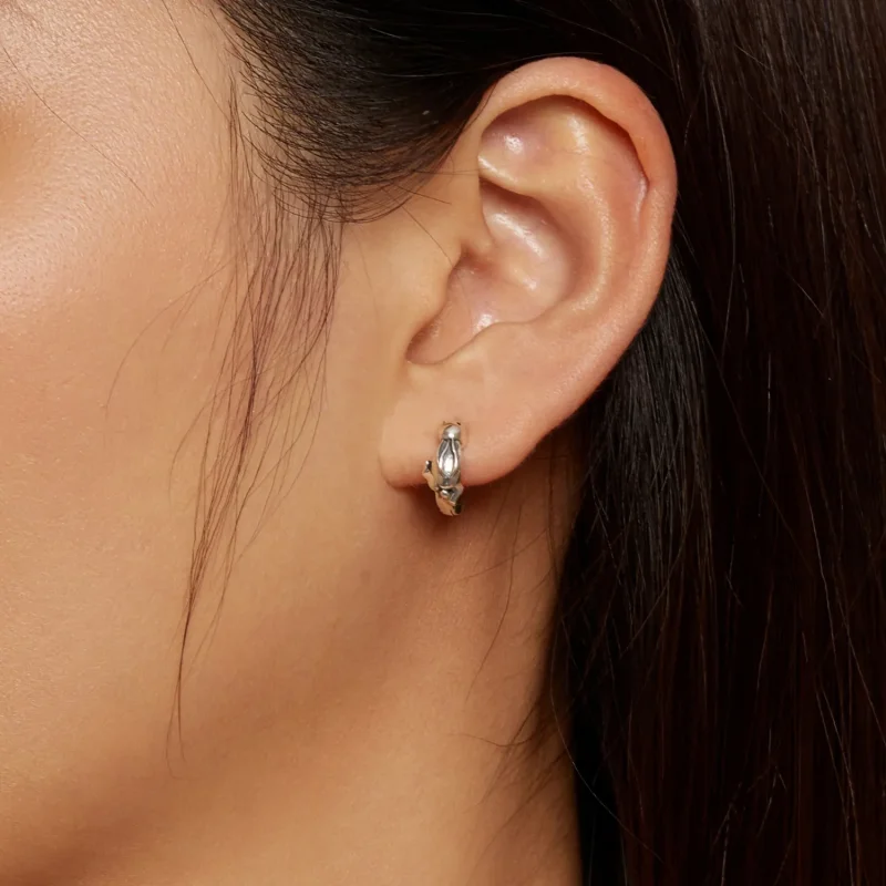 (image for) Pandora Style Rabbit Hoop Earrings - SCE1616 - View 5