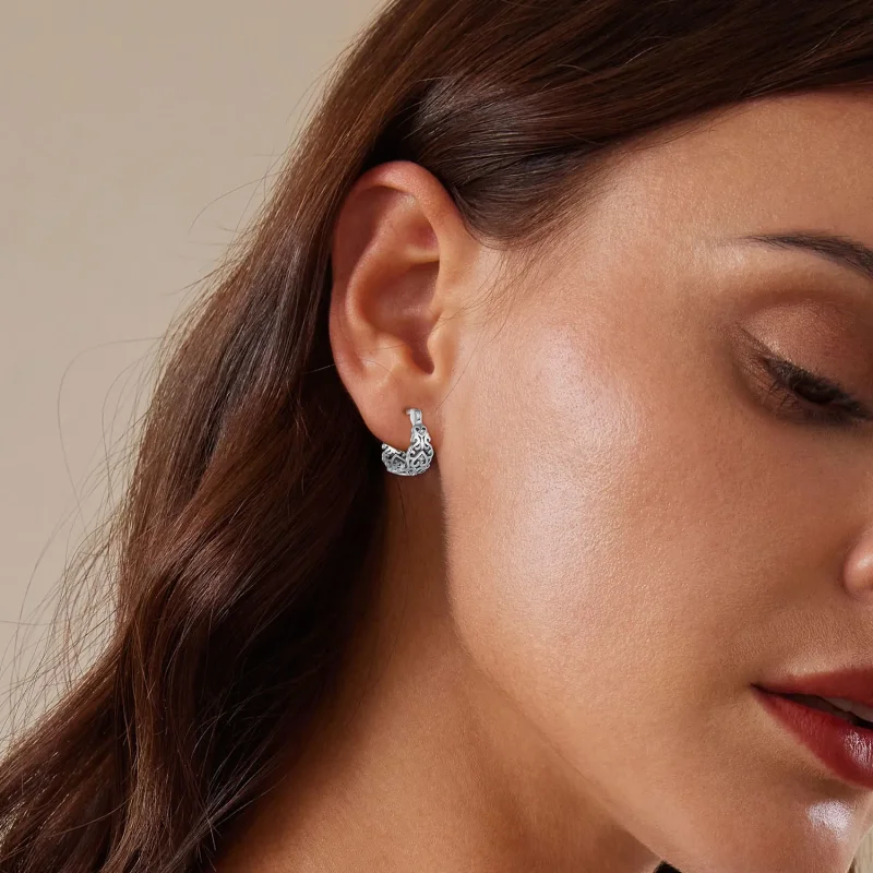 (image for) Pandora-style Retro Pattern Hoop Earrings - SCE1650 - View 6