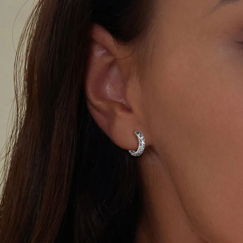 (image for) Pandora Style Retro Pattern Hoop Earrings - SCE1659 - View 5