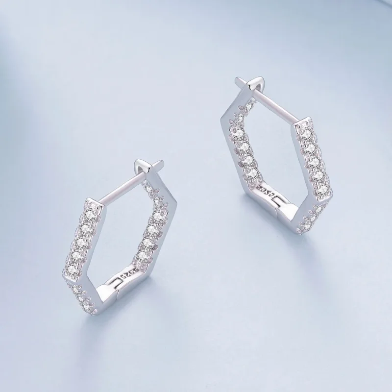 (image for) Pandora Style Six-Sided Hoop Earrings - BSE917 - View 3