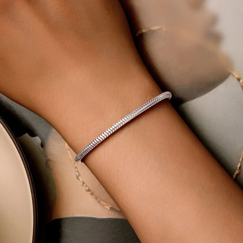 (image for) Pandora Style Snake Bone Chain Bracelet - BSB150 - View 4