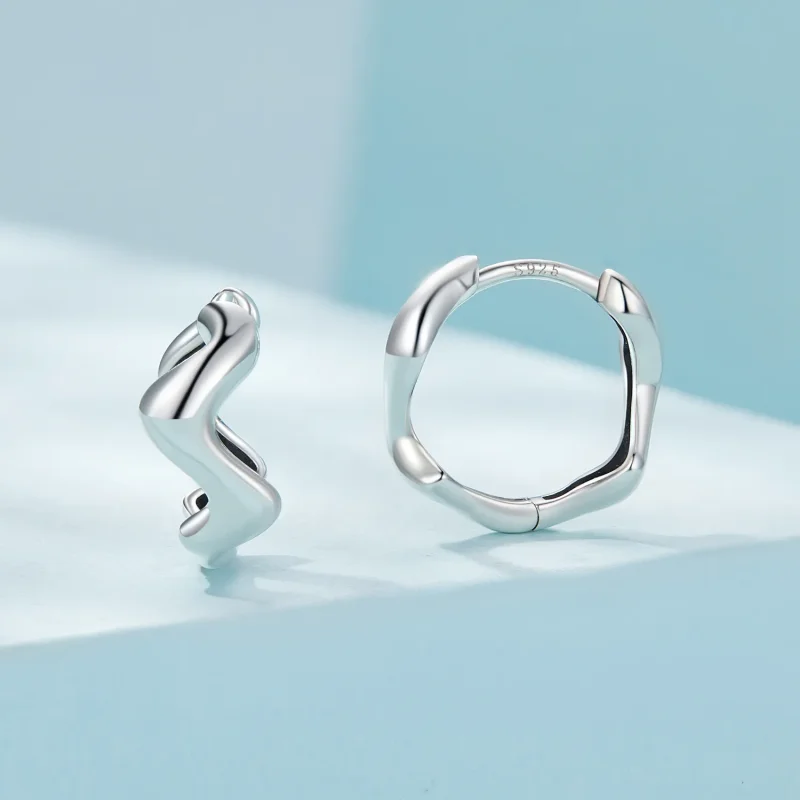 (image for) Pandora Style Wave Hoop Earrings - SCE1624 - View 2