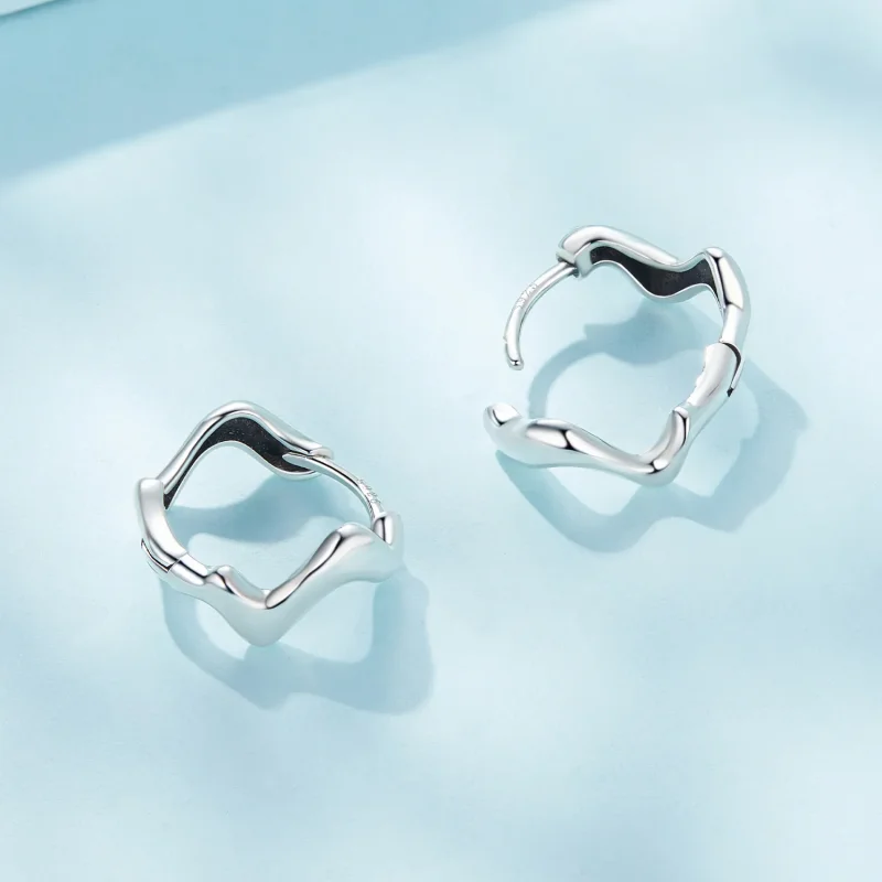 (image for) Pandora Style Wave Hoop Earrings - SCE1624 - View 3