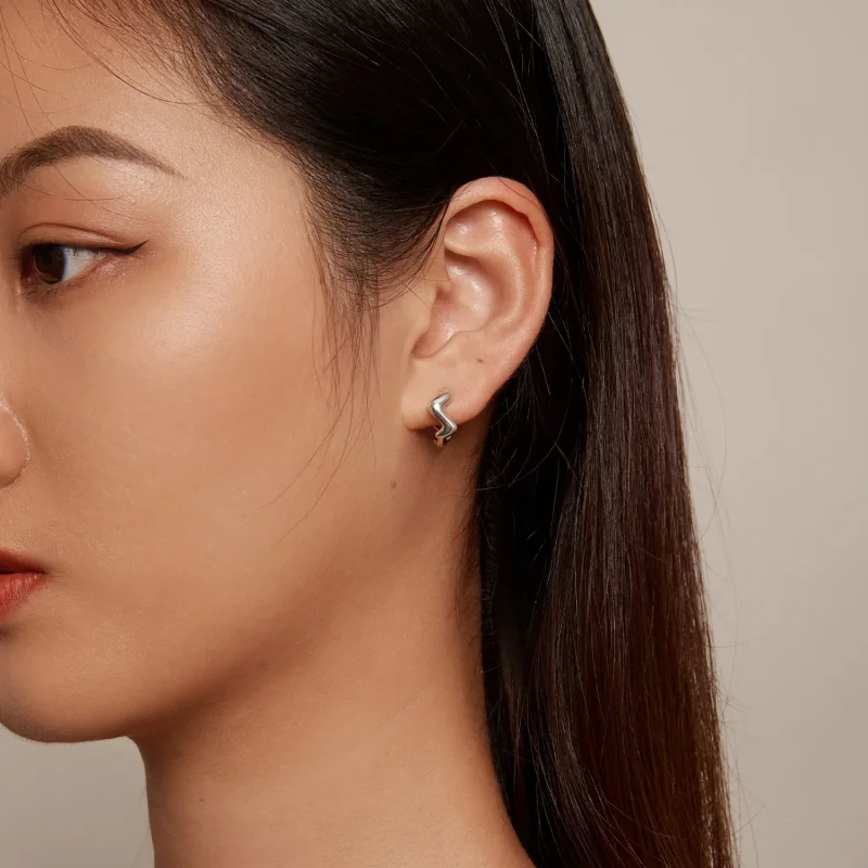 (image for) Pandora Style Wave Hoop Earrings - SCE1624 - View 5