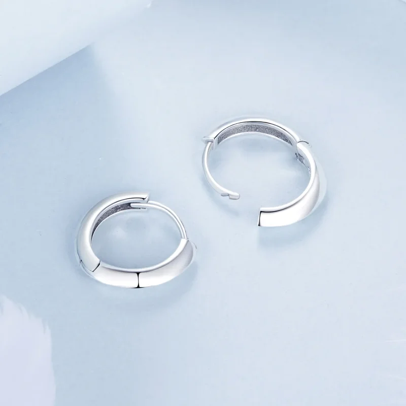 (image for) PANDORA Style Classic sterling silver earrings - BSE1016 - View 4