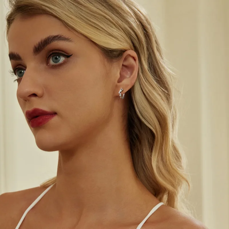 (image for) PANDORA Style Starry Star Earrings - BSE1017 - View 7