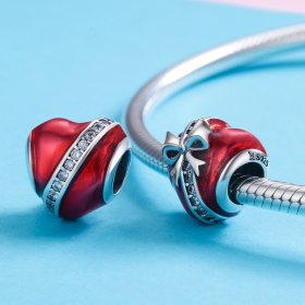 Pandora Style Silver Charm, Valentine's Day Love Gift - SCC741