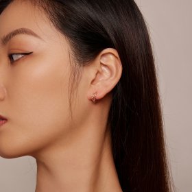 Pandora Style Leaves Hoops Earrings - BSE500-C