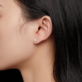 Pandora Style 0.5 Carat Moissanite Stud Earrings - MSE020-S