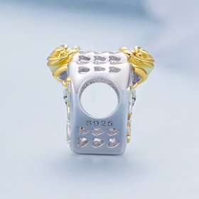 Pandora Style Sisters Charm - BSC841