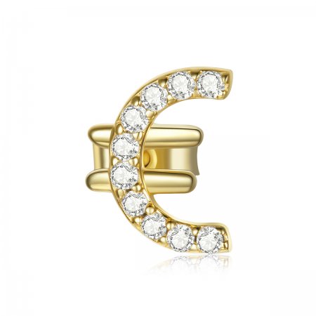 PANDORA Style Secret Symbol - € Stud Earrings - SCE1074