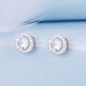 Pandora Style Light Luxury Stud Earrings - BSE893