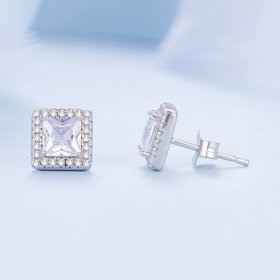 Pandora Style Light Luxury Stud Earrings - BSE895