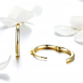 Gold-Plated Hoop Earrings - PANDORA Style - SCE558