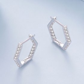 Pandora Style Six-Sided Hoop Earrings - BSE917