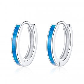 Pandora Style Silver Hoop Earrings - SCE992