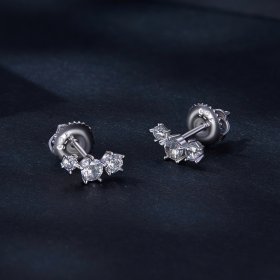 Pandora Style Moissanite Studs Earrings (One Certificate) - MSE034