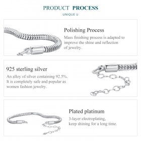 Pandora Style Snake Bone Chain Bracelet - BSB150