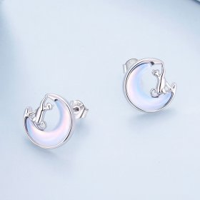 Pandora-style Moon Cat Studs Earrings - BSE913