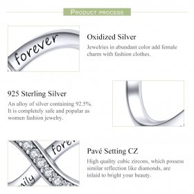 Silver Family Forever Charm - PANDORA Style - SCC1146
