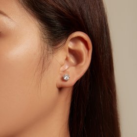 Pandora Style Shiny Zircon Stud Earrings - BSE615-6L