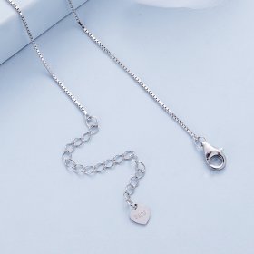 Pandora Style Meteor Necklace - BSN350