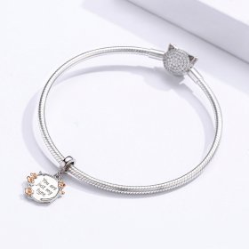 Pandora Style Tri-tone Bangle Charm, Bicolor You Are Just My Type - BSC147
