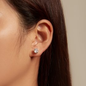 Pandora Style Shiny Zircon Stud Earrings - BSE615-7L