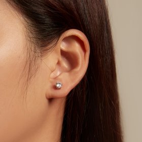 Pandora Style Shiny Zircon Stud Earrings - BSE615-5L