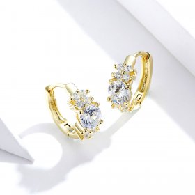 Silver & Gold-Plated Romantic Shine Hoop Earrings - PANDORA Style - SCE485-B