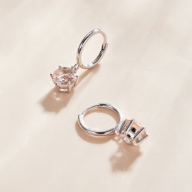 Pandora Style Silver Dangle Earrings, Cz - SCE1020-CG