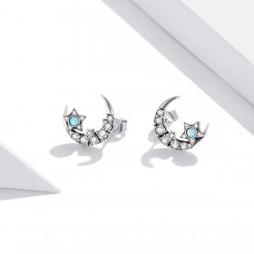 Pandora Style Silver Stud Earrings, Star and Moon - SCE1157