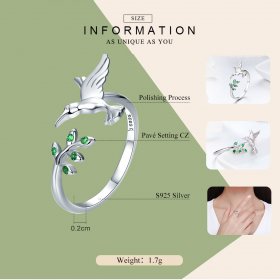 Silver Greetings From Hummingbirds Ring - PANDORA Style - SCR323