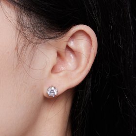 Pandora Style Moissanite Stud Earrings - MSE016-L
