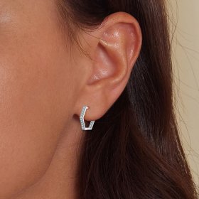 Pandora Style Six-Sided Hoop Earrings - BSE917