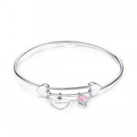 Silver Love Promise Charm Entwined Slider Bangle - PANDORA Style - SCB124