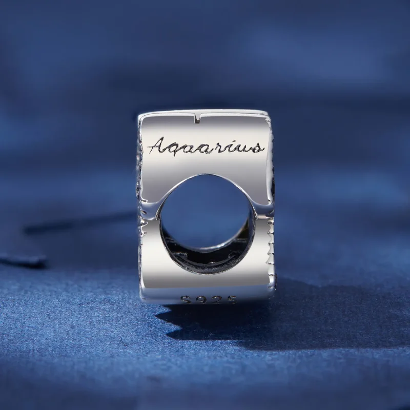 (image for) Pandora Style Aquarius Lucky Zodiac Charm - SCC2516-12 - View 3