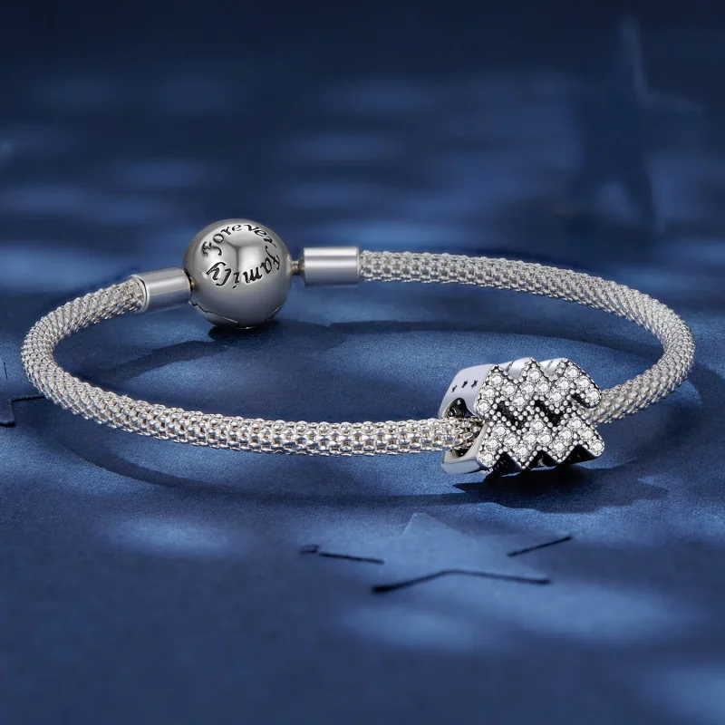 (image for) Pandora Style Aquarius Lucky Zodiac Charm - SCC2516-12 - View 5