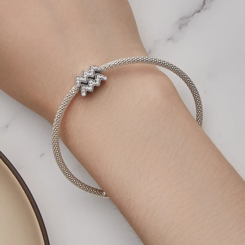 (image for) Pandora Style Aquarius Lucky Zodiac Charm - SCC2516-12 - View 6