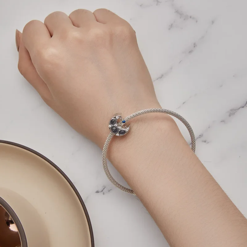 (image for) Pandora Style Moon Charm - BSC872 - View 6