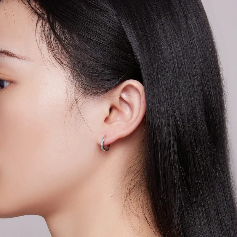 (image for) Pandora Style Wave Hoops Earrings - SCE1593 - View 7